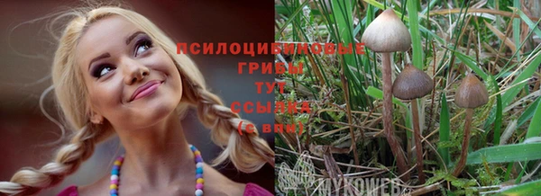 мдма Лиски