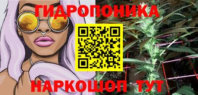 спайс Аргун