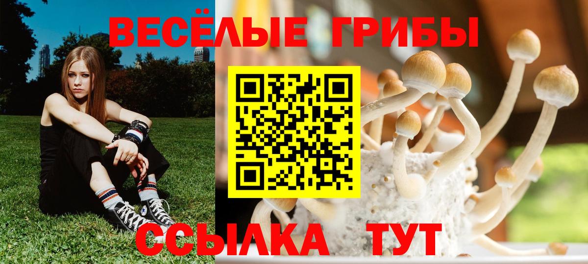 Псилоцибиновые грибы Psilocybine cubensis  даркнет сайт  Балаково  Вход с VPN 