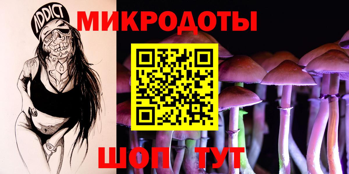 Псилоцибиновые грибы Psilocybine cubensis Балаково